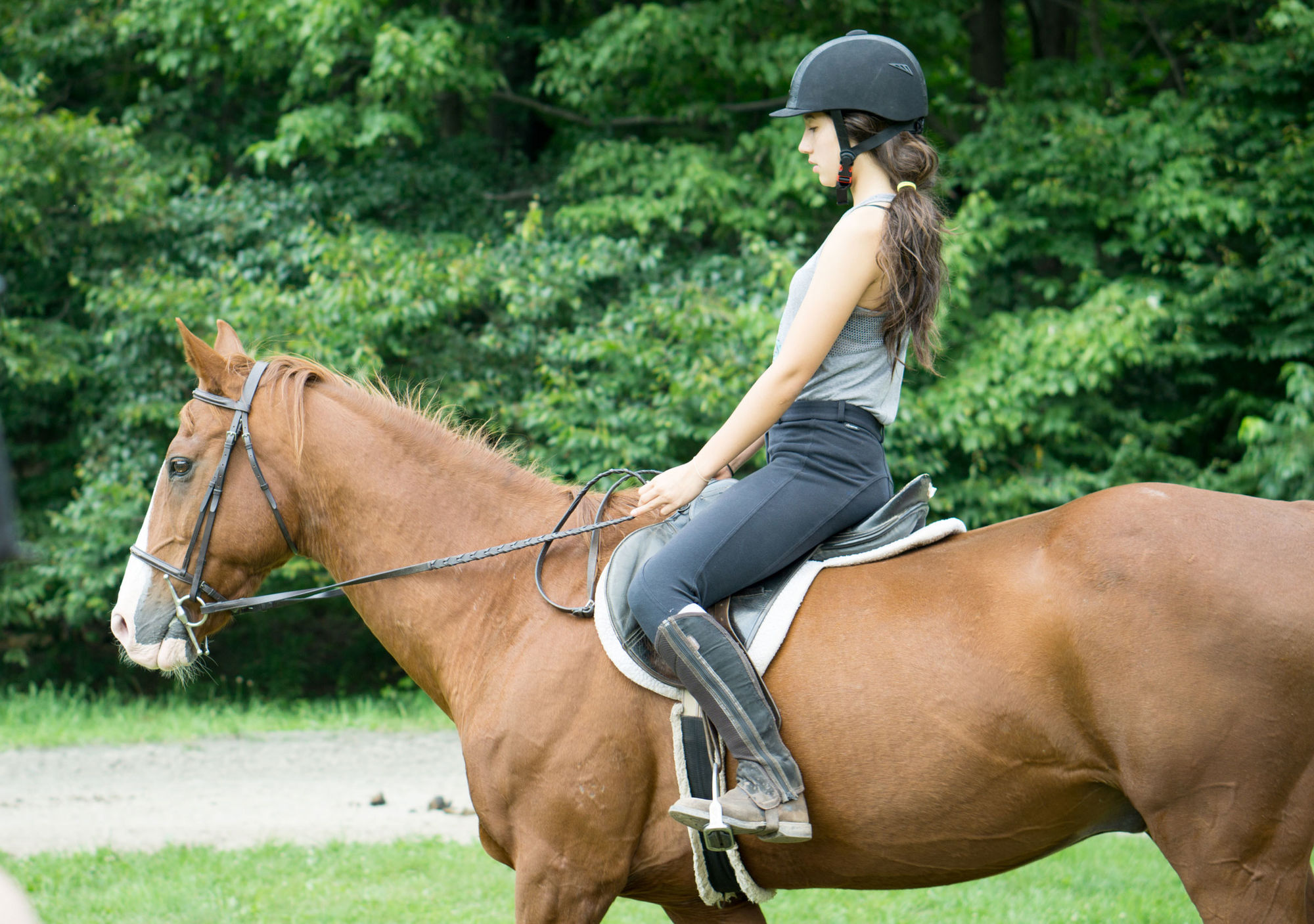 30++ Horse summer camp jobs Photo | yosemitecamping